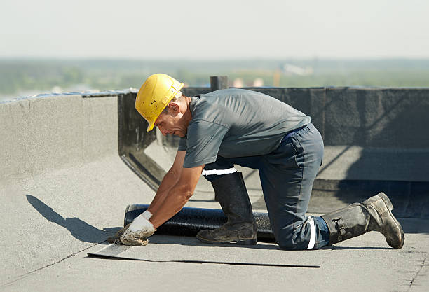 Best DIY Insulation Kits and Guidance in Tresckow, PA